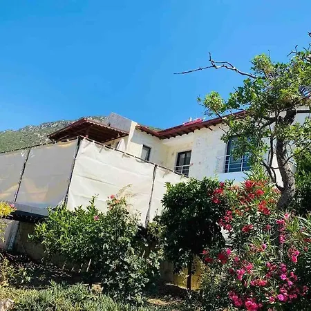 Tarihin Icin'de Enfes Villa *