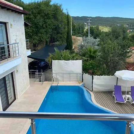 Villa Tarihin Icin'de Enfes