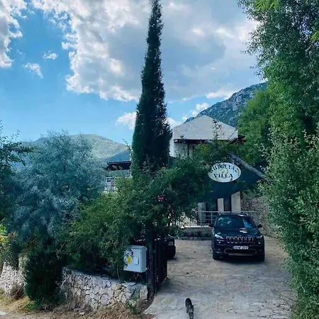 Villa Tarihin Icin'de Enfes Kaş